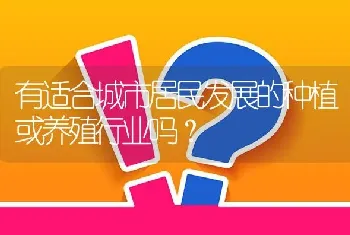 有适合城市居民发展的种植或养殖行业吗?