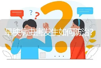 旱秧病虫害发生如何防治?