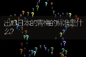 出口日本的青梅的标准是什么?