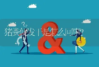 能不能提供安微境内养种鸡的专业户?