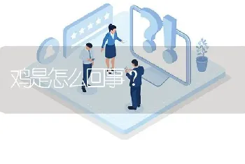 鸡是怎么回事?