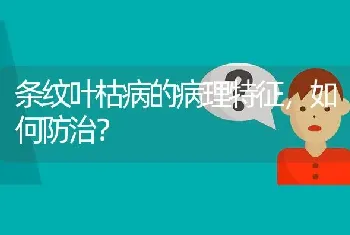 条纹叶枯病的病理特征,如何防治?