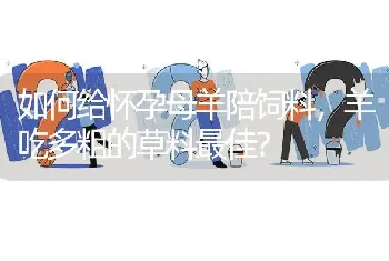 柿子落果是什么原因?