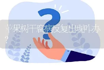 苹果树干腐病反复出现咋办?