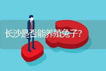 长沙是否能养殖兔子?