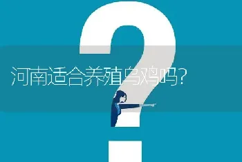 一般养青蛙要多大面积的地方?