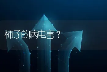 柿子的病虫害?