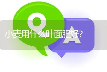 小麦用什么叶面肥好?