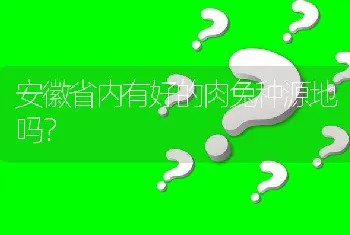 安徽省内有好的肉兔种源地吗?