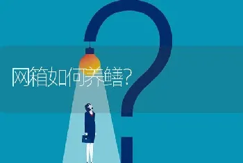 网箱如何养鳝?