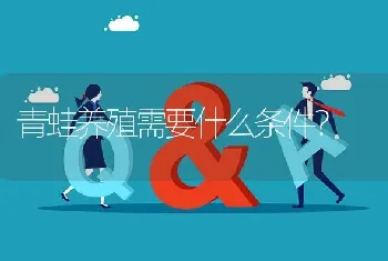 青蛙养殖需要什么条件?