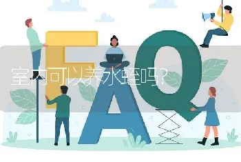 白杨树林下可以种植什么?