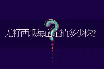 无籽西瓜每亩定植多少株?