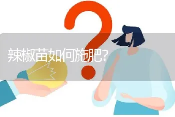 辣椒苗如何施肥?