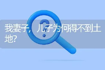 我妻子,儿子为何得不到土地?