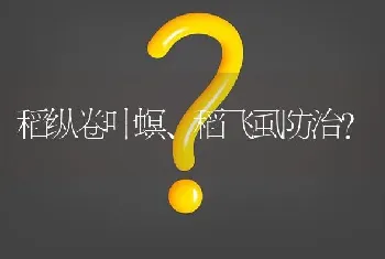 稻纵卷叶螟、稻飞虱防治?