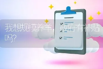 我想规模养羊,政府有补贴吗?