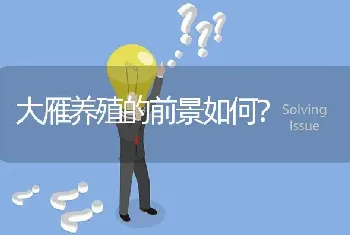 大雁养殖的前景如何?