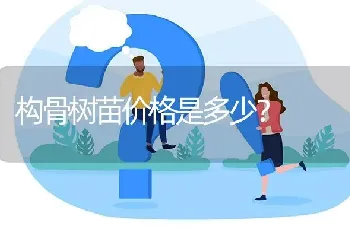 构骨树苗价格是多少?