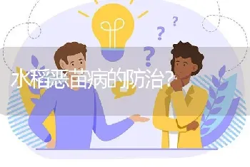 水稻恶苗病的防治?