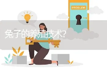 兔子的养殖技术?