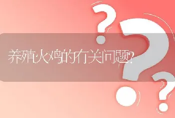 养殖火鸡的有关问题?