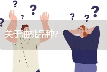 关于油桃品种?