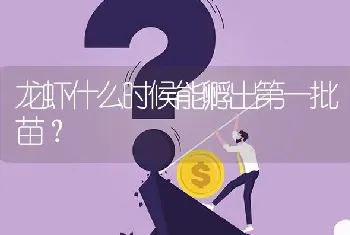 龙虾什么时候能孵出第一批苗?