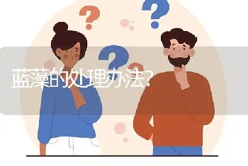 蓝藻的处理办法?