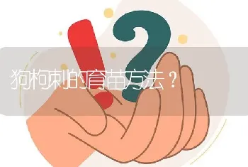 狗枸刺的育苗方法?