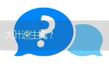 大叶速生槐?