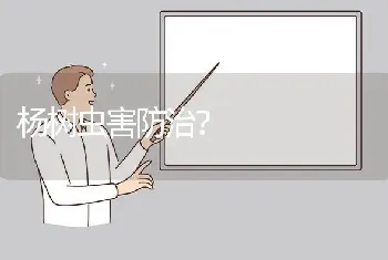 杨树虫害防治?