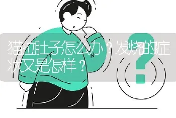 猫拉肚子怎么办?发烧的症状又是怎样?