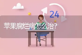 苹果腐烂病怎么治?