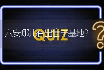 六安哪儿有出售羊基地?