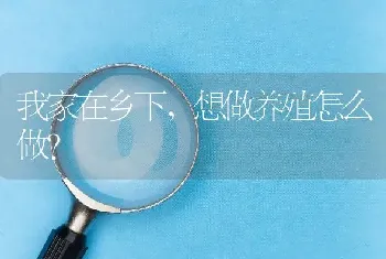 我家在乡下,想做养殖怎么做?