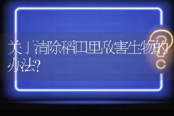 关于清除稻田里敌害生物的办法?