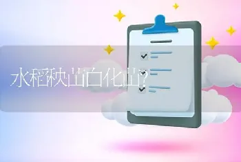 明年水稻价格是否会降?