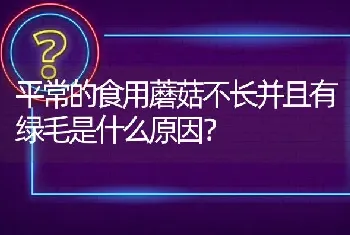 平常的食用蘑菇不长并且有绿毛是什么原因?