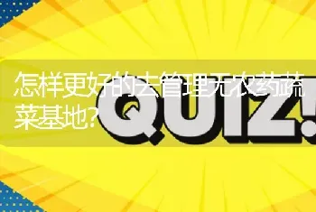 怎样更好的去管理无农药蔬菜基地?