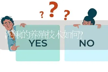 泥鳅的养殖技术如何?