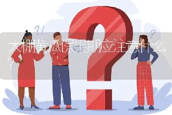 大棚黄瓜保果期应注意什么?