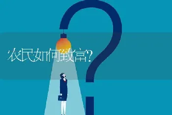 农民如何致富?