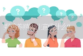 野鸡养殖因注意些什么?