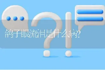 鸽子眼流泪是什么病?