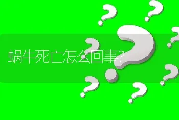 蜗牛死亡怎么回事?