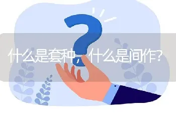 什么是套种,什么是间作?