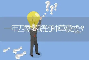 一年四季养鹅的种草模式?