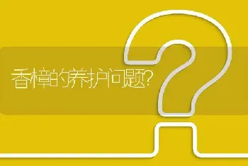 香樟的养护问题?