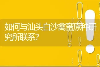 如何与汕头白沙禽畜原种研究所联系?